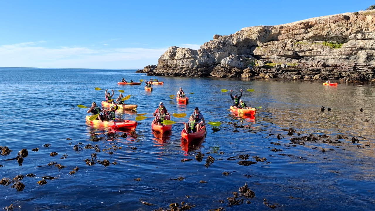 Guided sea kayaking group paddling bright orange sit-on-top kayaks along a sheltered Cape bay with rocky cliffs beyond