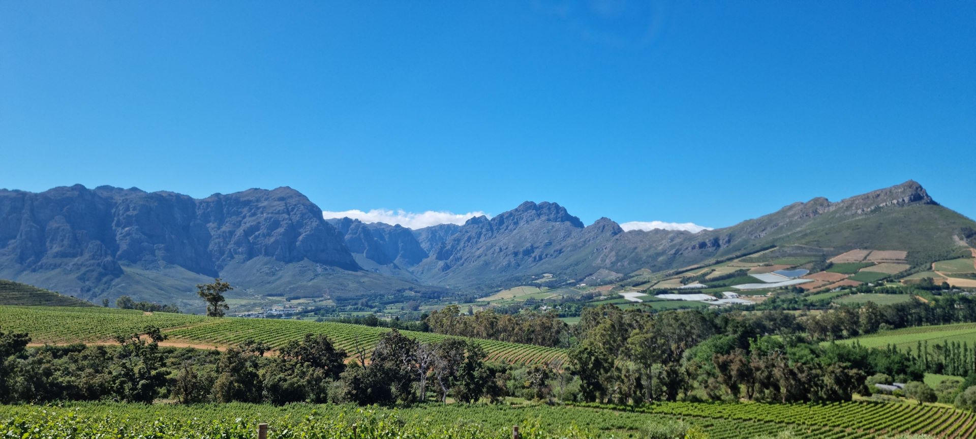 Wine estates nestled amongst the mountains of the Cape Winelands, South Africa